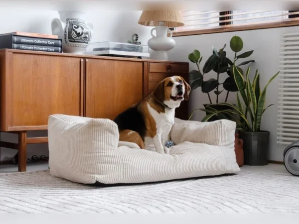 Canapé pour chien Salto Bobochic