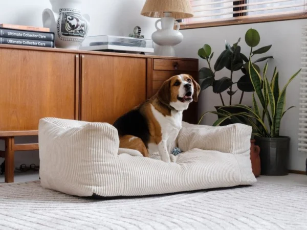 Canapé pour chien Salto Bobochic