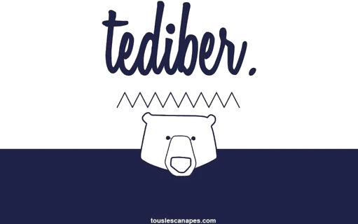 Logo Tediber